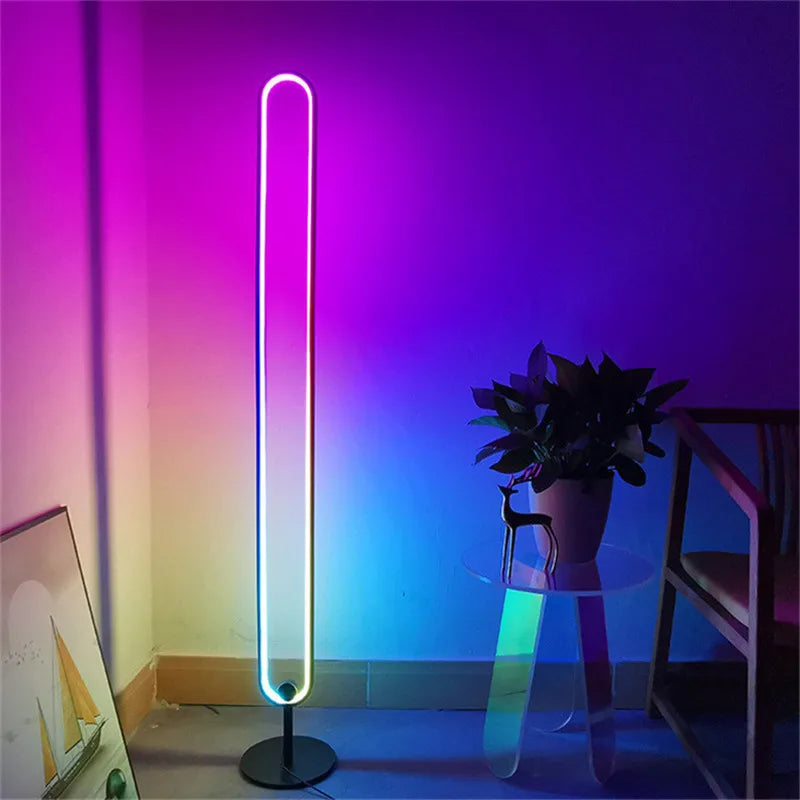HFBH Nordic Modern Circle Standing Metal Led Rgb Corner Floor Lamp With Remote Control 2025